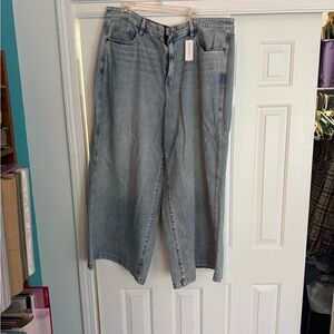 Lane Bryant Blue Denim Jeans